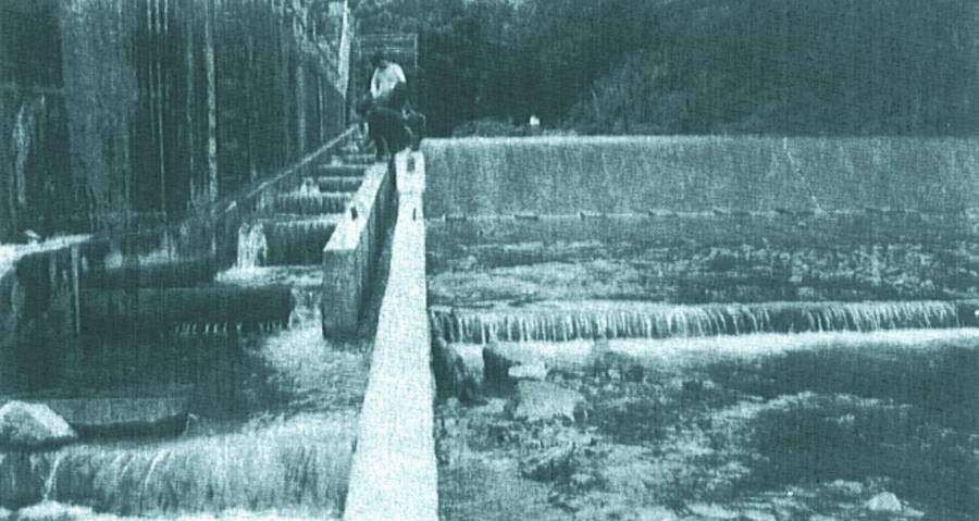 陽明山鹿角坑溪魚道通水舊照